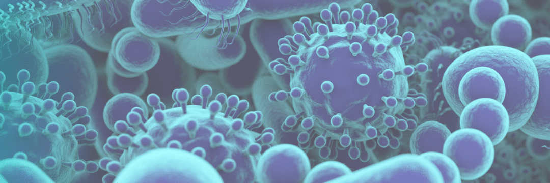 Pós-bióticos: Um olhar para a microbiota intestinal e a nutrição
