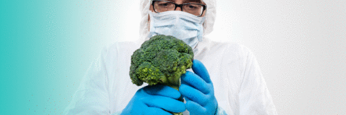 Contaminantes em alimentos: uma análise com base na ciência e na nutrição